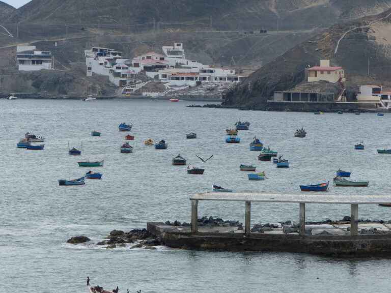 playa tortuga 039